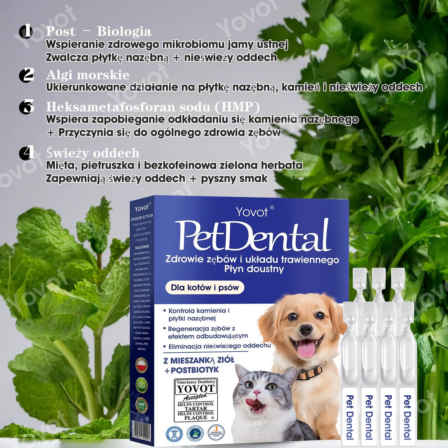 🐶🐱Yovot® Pet Dental & Digestive Health Oral Liquid – odświeża oddech, usuwa kamień nazębny, wspiera regenerację dziąseł i stabilizuje zęby (dla psów i kotów) – Oszczędź 70% dzisiaj!
