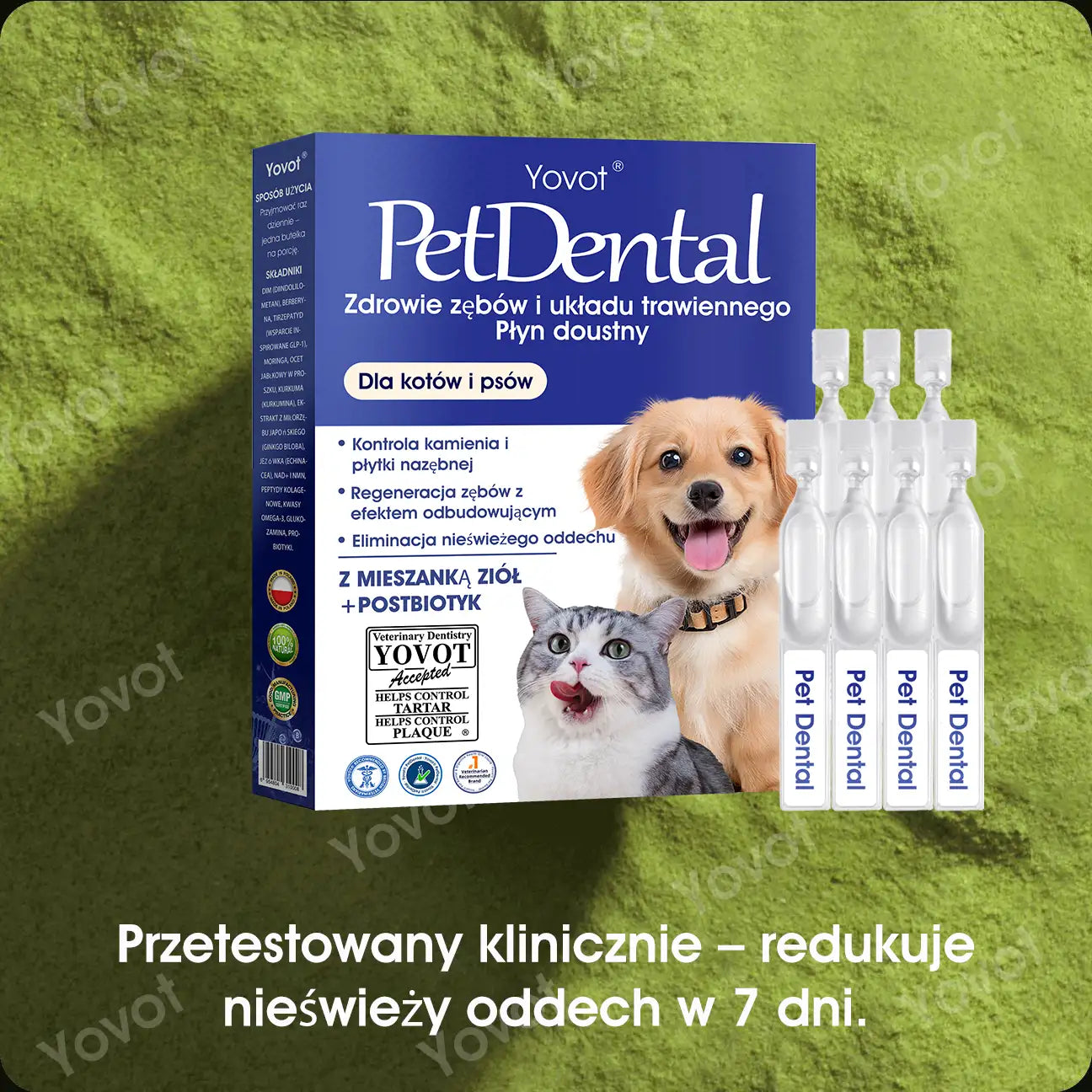 🐶🐱Yovot® Pet Dental & Digestive Health Oral Liquid – odświeża oddech, usuwa kamień nazębny, wspiera regenerację dziąseł i stabilizuje zęby (dla psów i kotów) – Oszczędź 70% dzisiaj!