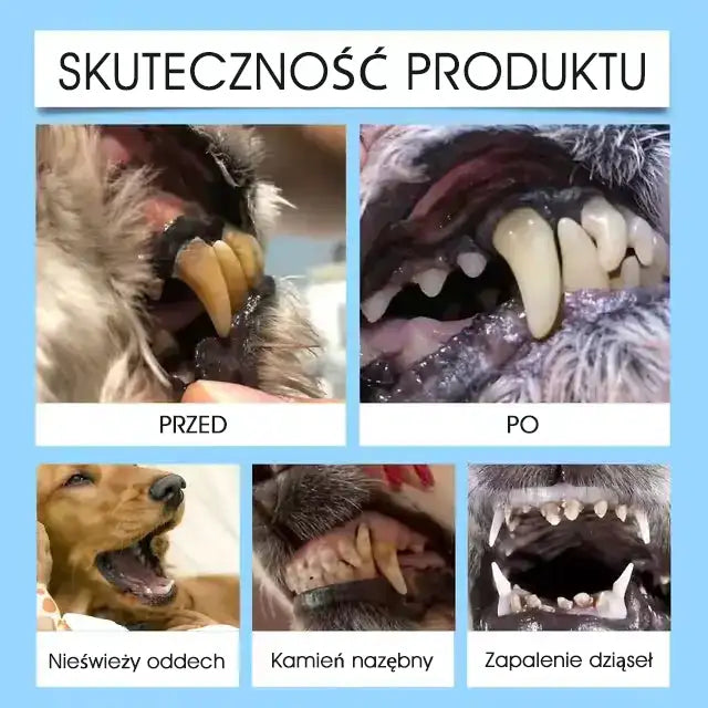 🐶🐱Yovot® Pet Dental & Digestive Health Oral Liquid – odświeża oddech, usuwa kamień nazębny, wspiera regenerację dziąseł i stabilizuje zęby (dla psów i kotów) – Oszczędź 70% dzisiaj!
