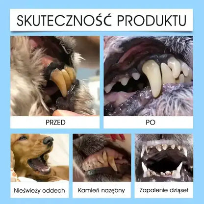 🐶🐱Yovot® Pet Dental & Digestive Health Oral Liquid – odświeża oddech, usuwa kamień nazębny, wspiera regenerację dziąseł i stabilizuje zęby (dla psów i kotów) – Oszczędź 70% dzisiaj!