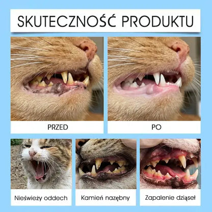 🐶🐱Yovot® Pet Dental & Digestive Health Oral Liquid – odświeża oddech, usuwa kamień nazębny, wspiera regenerację dziąseł i stabilizuje zęby (dla psów i kotów) – Oszczędź 70% dzisiaj!
